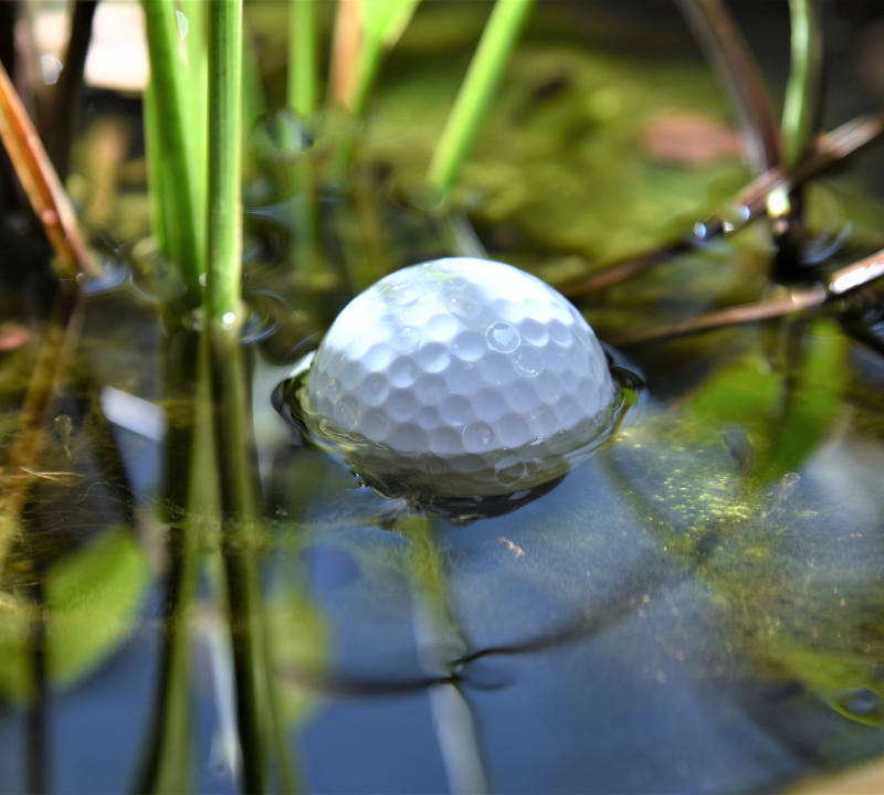 Best Golf Ball Retrievers: Buyers Guide